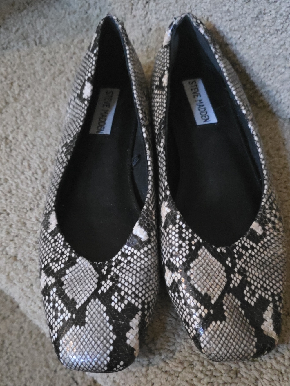 Steve Madden Snake-Print Flats in Black and Cream